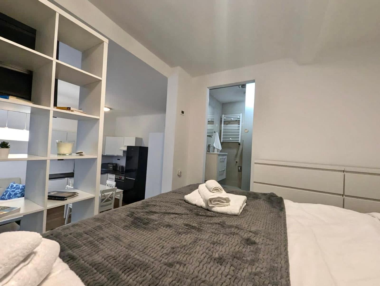 Fantabulous Downtown Abode W King Bed, 65" Tv, Washer And Tumble Dryer Zagrzeb Zewnętrze zdjęcie