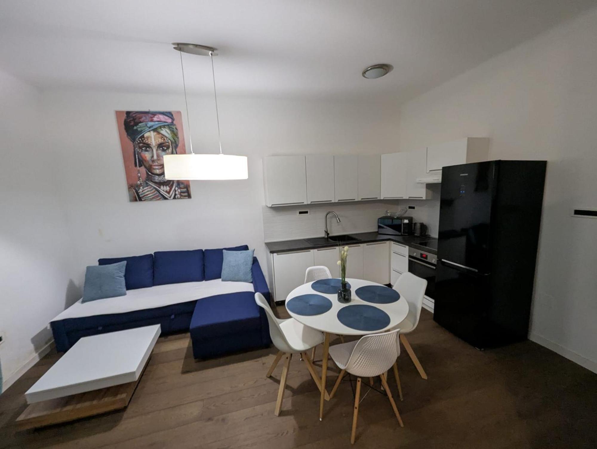 Fantabulous Downtown Abode W King Bed, 65" Tv, Washer And Tumble Dryer Zagrzeb Zewnętrze zdjęcie